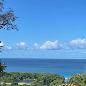 Bas De Couleuvre Deshaies